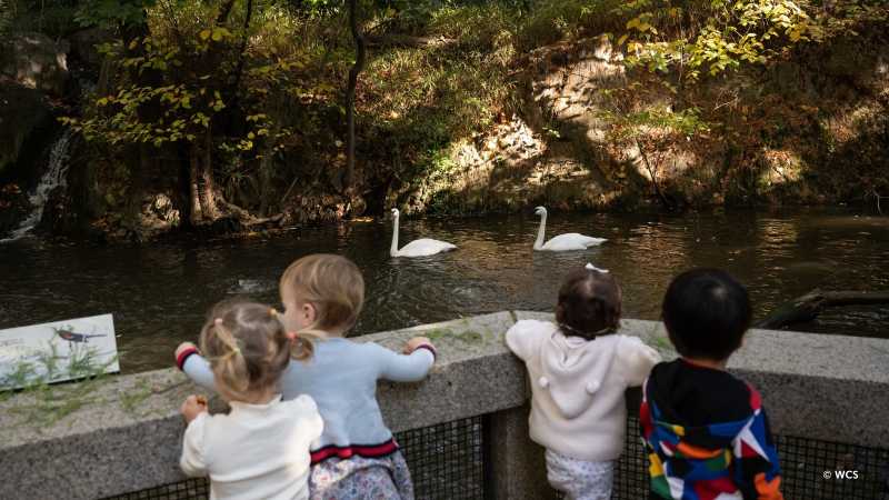 Central Park Zoo Camp