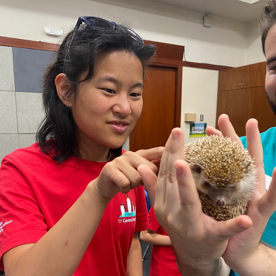 Central Park Zoo Camp photo 1