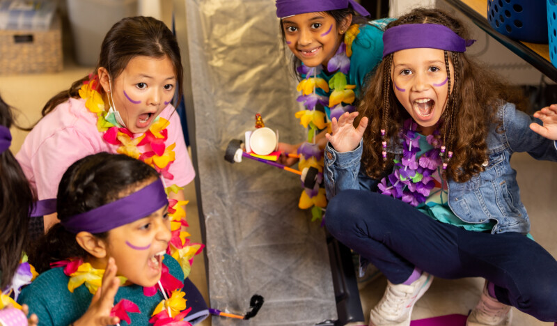 Challenge Island Camps