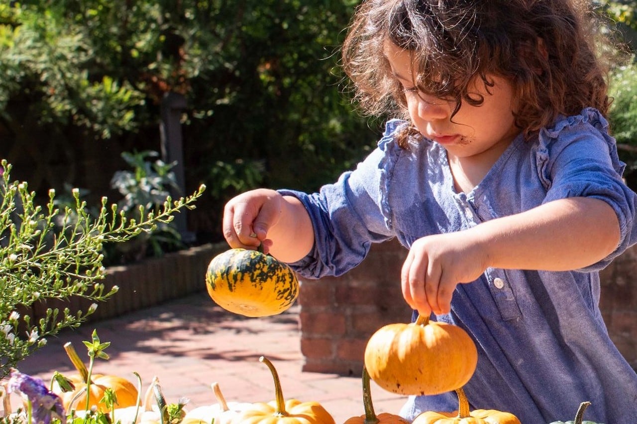 Chicago Botanic Garden Summer Leaders In Training photo 1