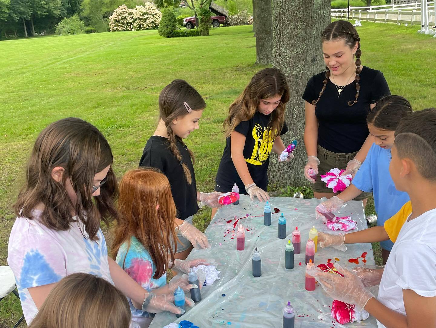 Moses Brown Camps фото 1