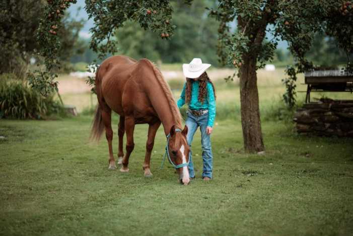 Chipman Stables Summer Horse Camp