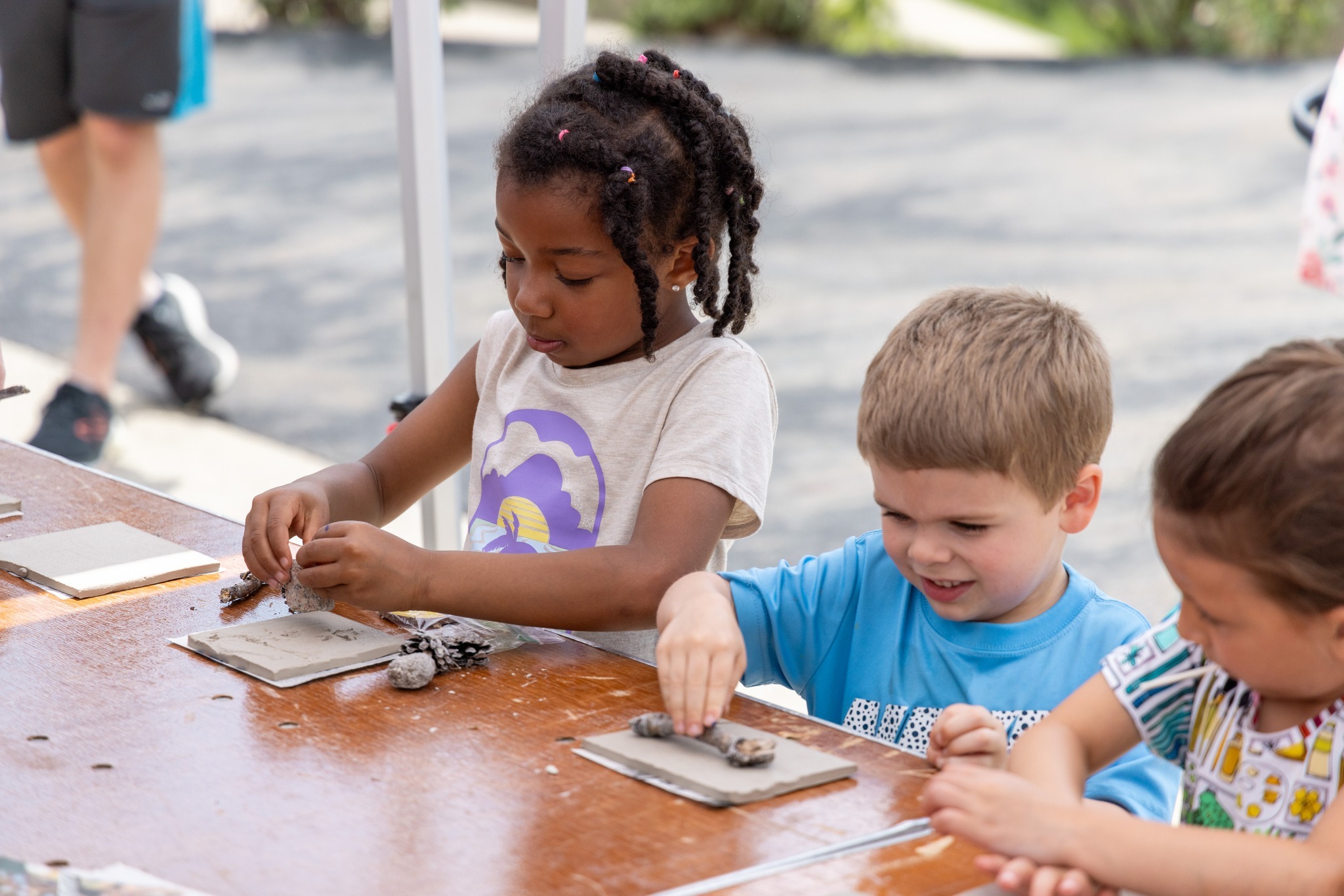 Falcon Camp фото 1