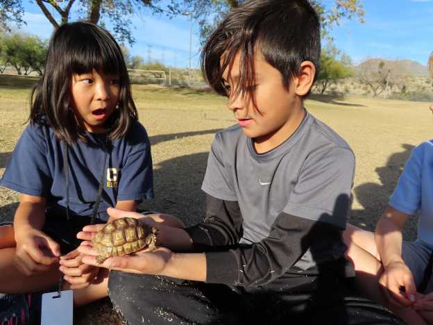 City of Scottsdale - Horizon Summer Camp