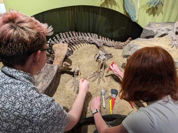 Cleveland Museum Of Natural History Summer Camp