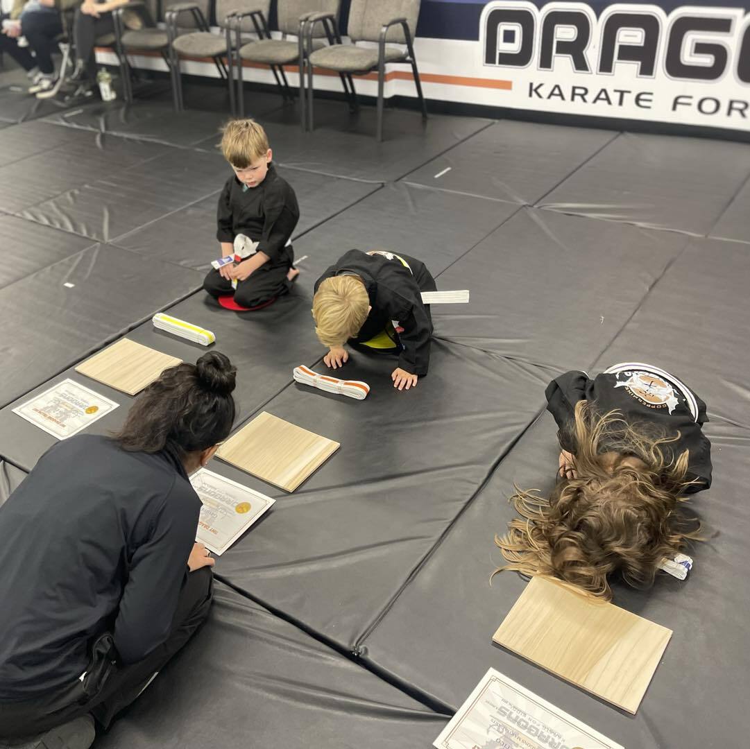 Coppermine Martial Arts Summer Camp photo 1