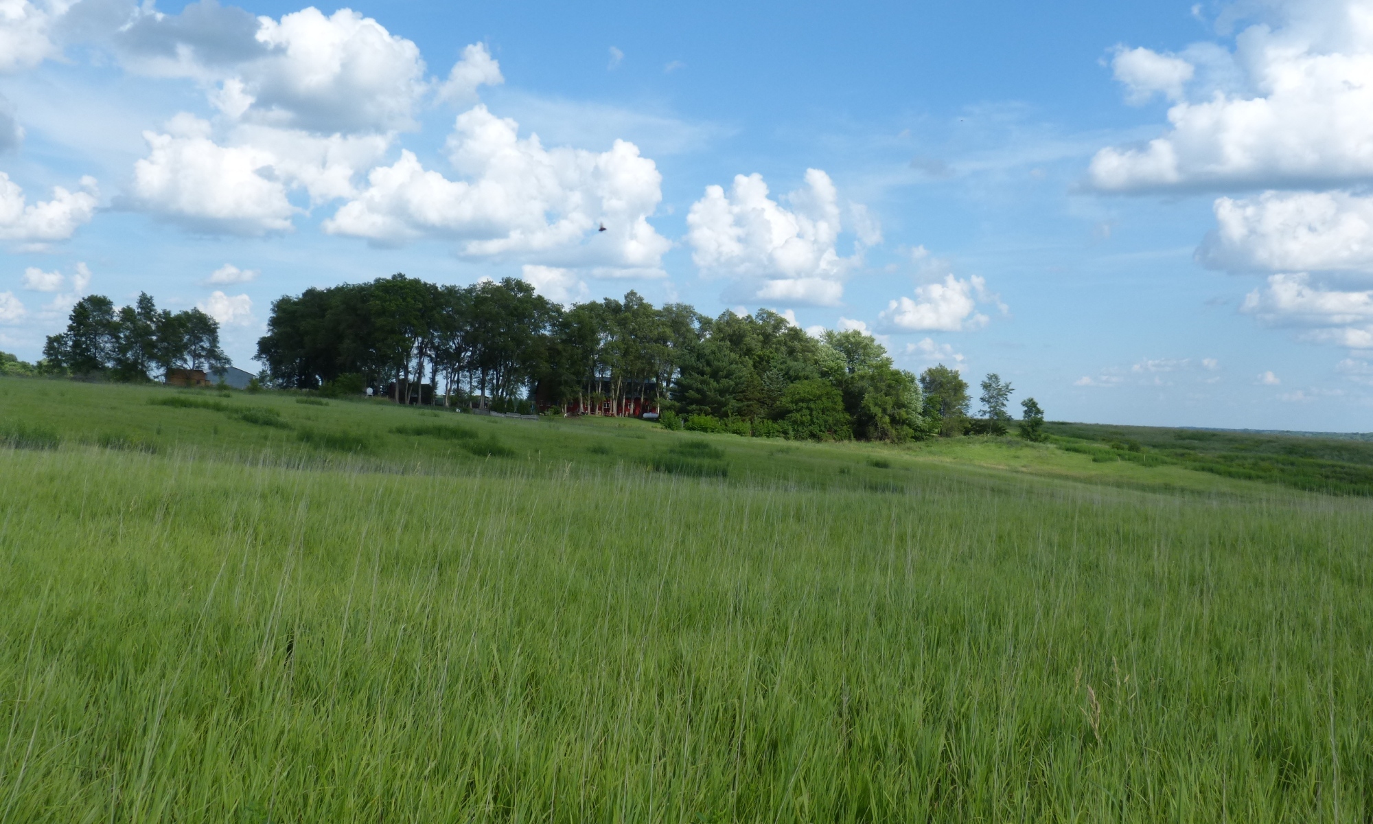 Wesley Woods Summer Camp фото 1