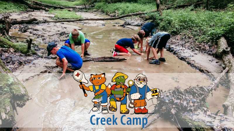 Creek Camp