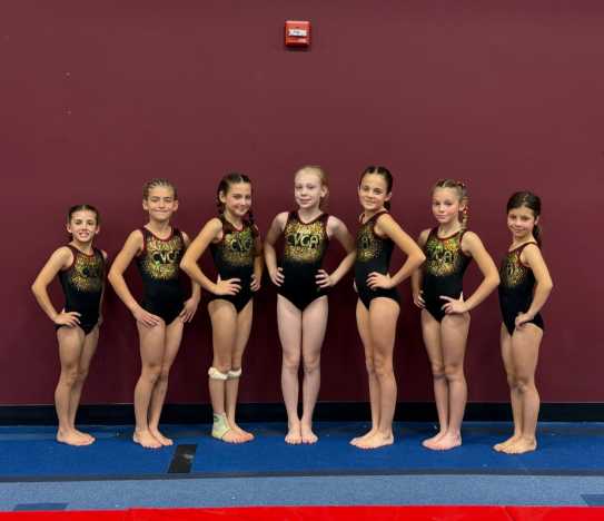 CVGA Summer Gymnastics Camp