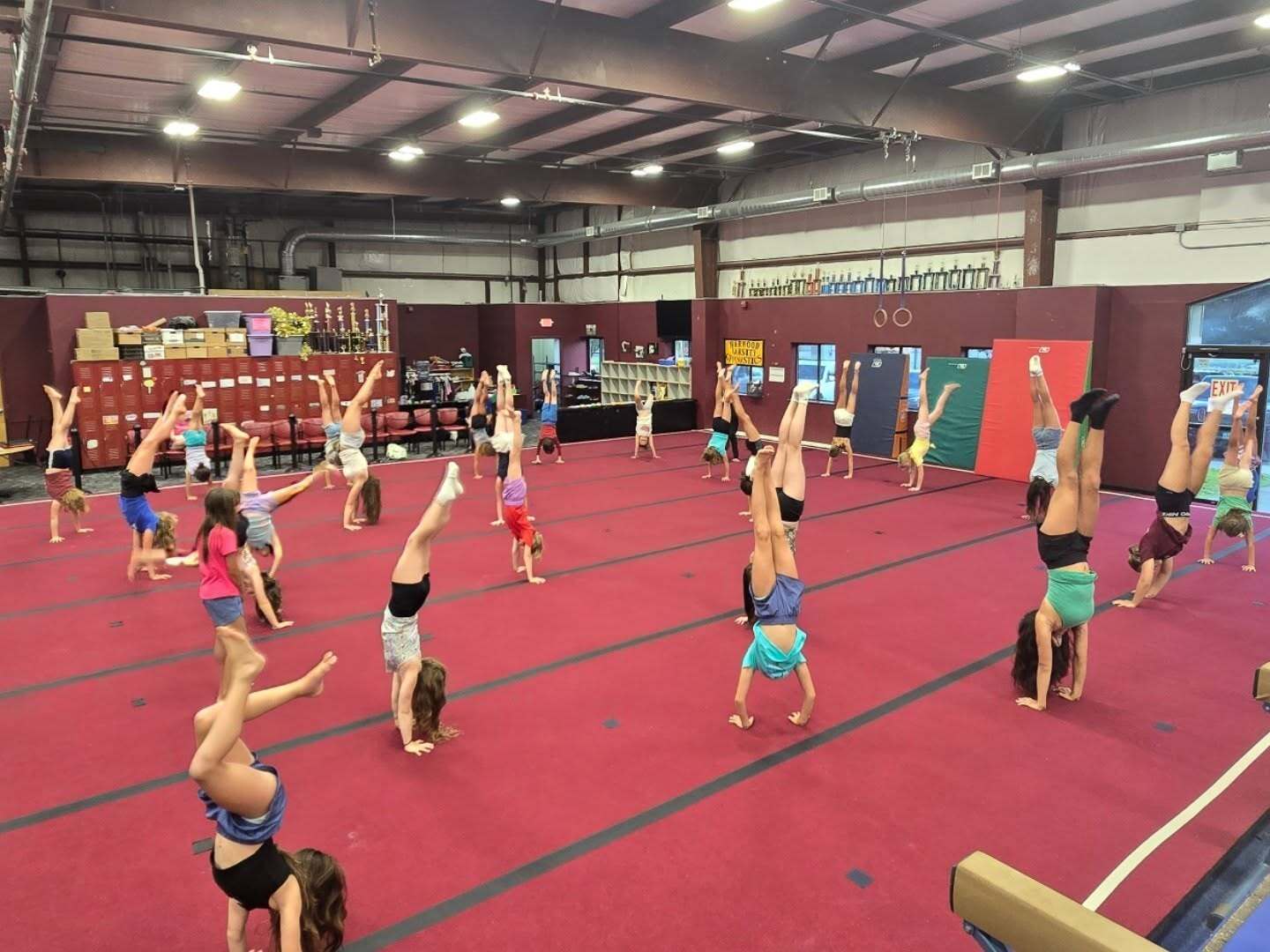 CVGA Summer Gymnastics Camp photo 1