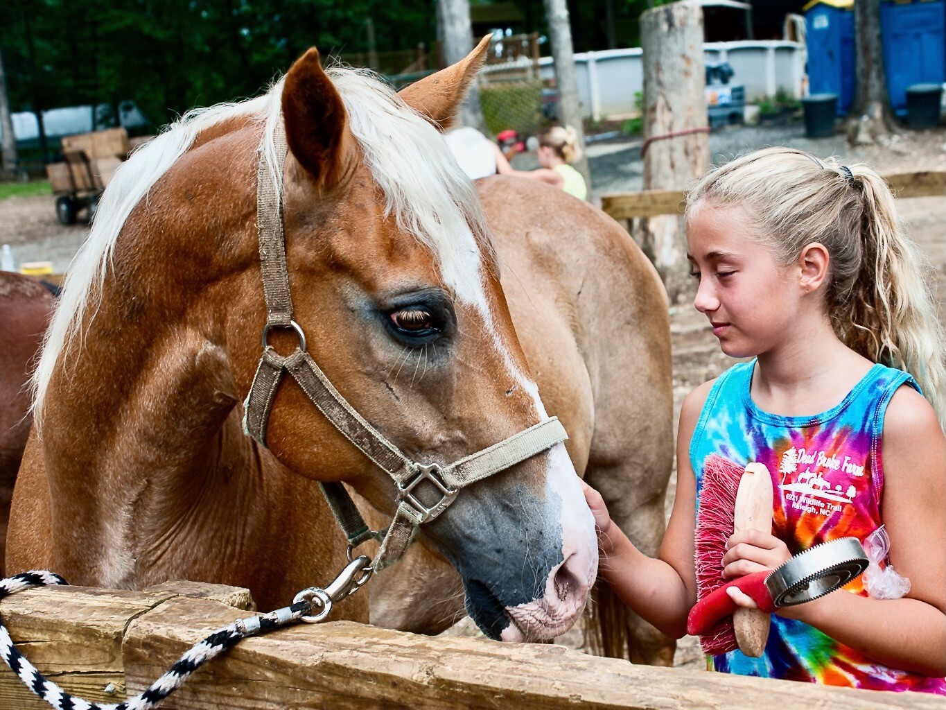 Dead Broke Farm Horse Camp
