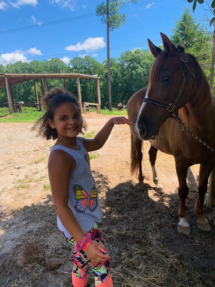 Dead Broke Farm Horse Camp photo 1