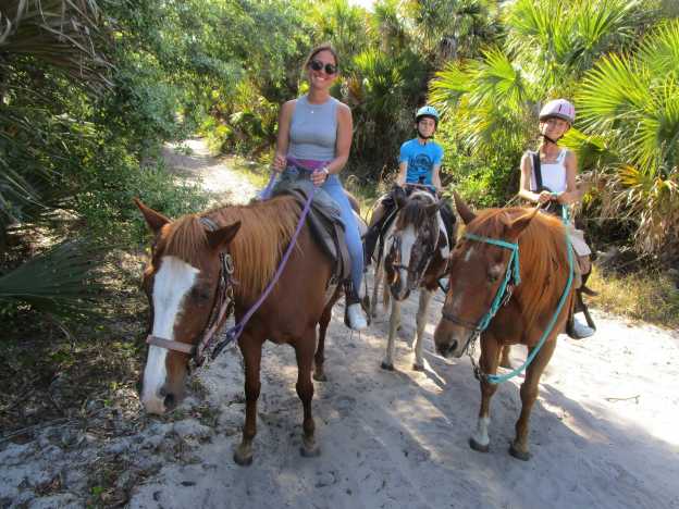 Desert Acres Stables