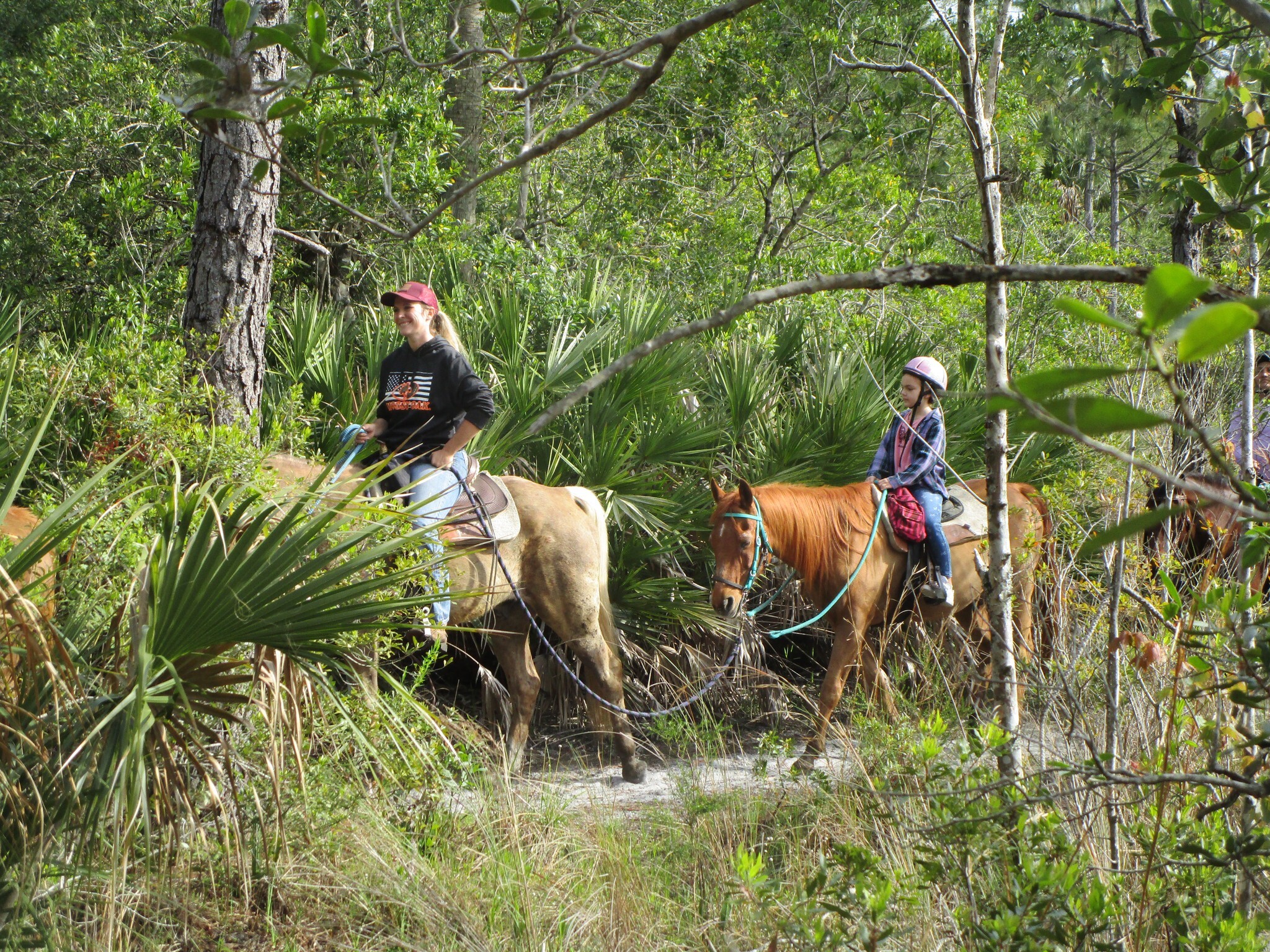 Desert Acres Stables photo 1