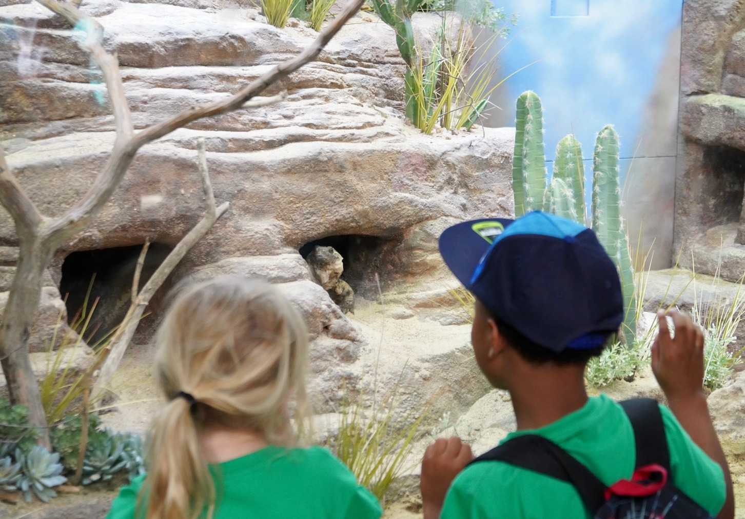 Detroit Zoo Safari Camp photo 1