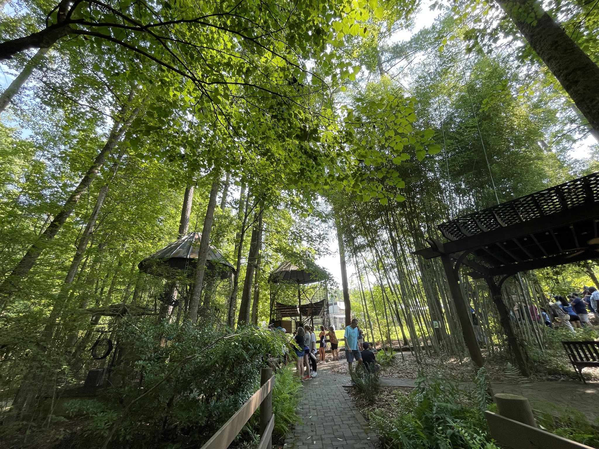 Duke Lemur Center