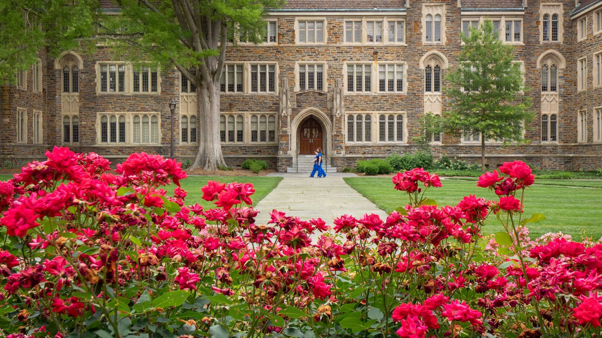 Duke University Youth Programs: Young Writersʼ Online Camp фото 1