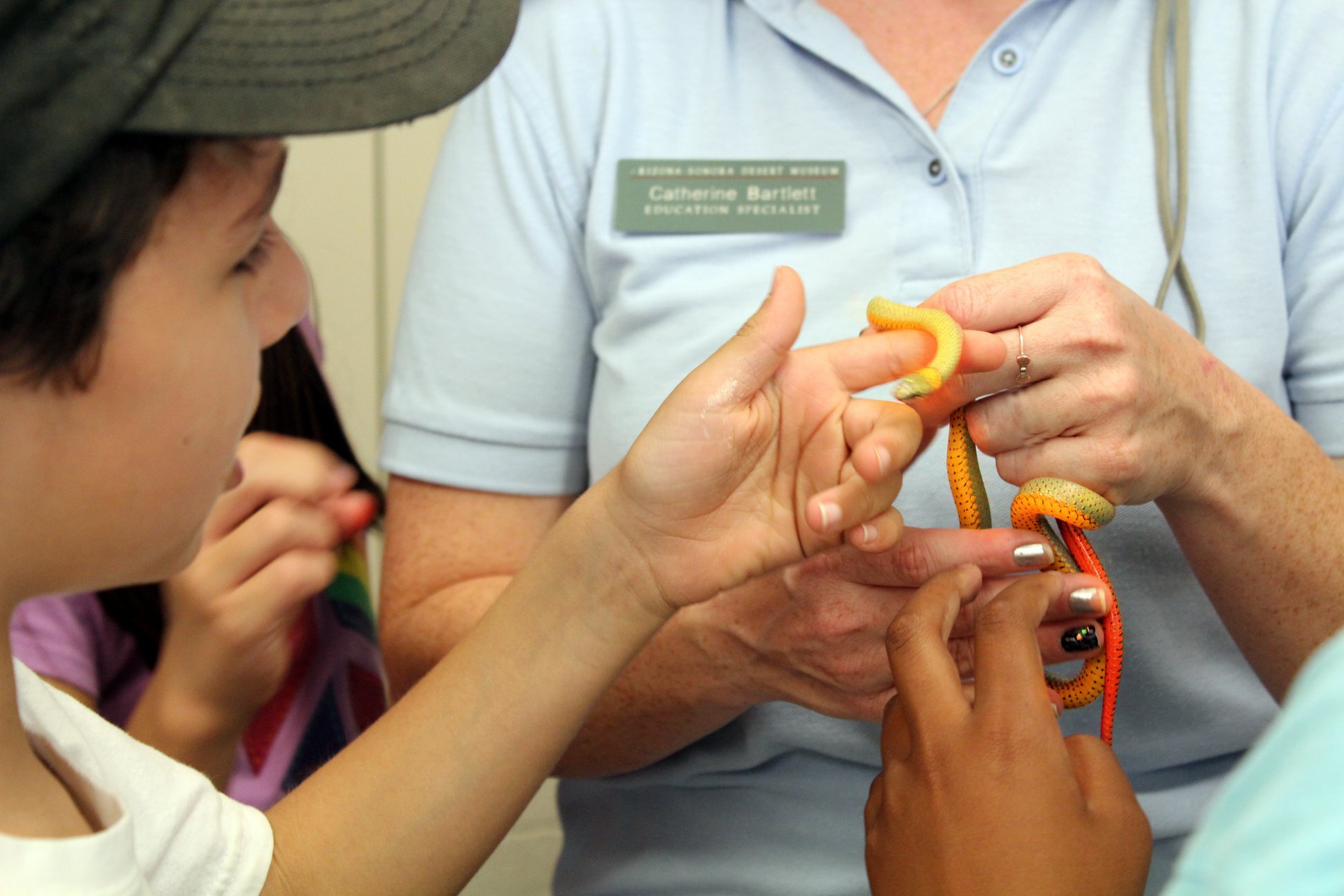 Earth Camp Leadership for a Shared Planet photo 1