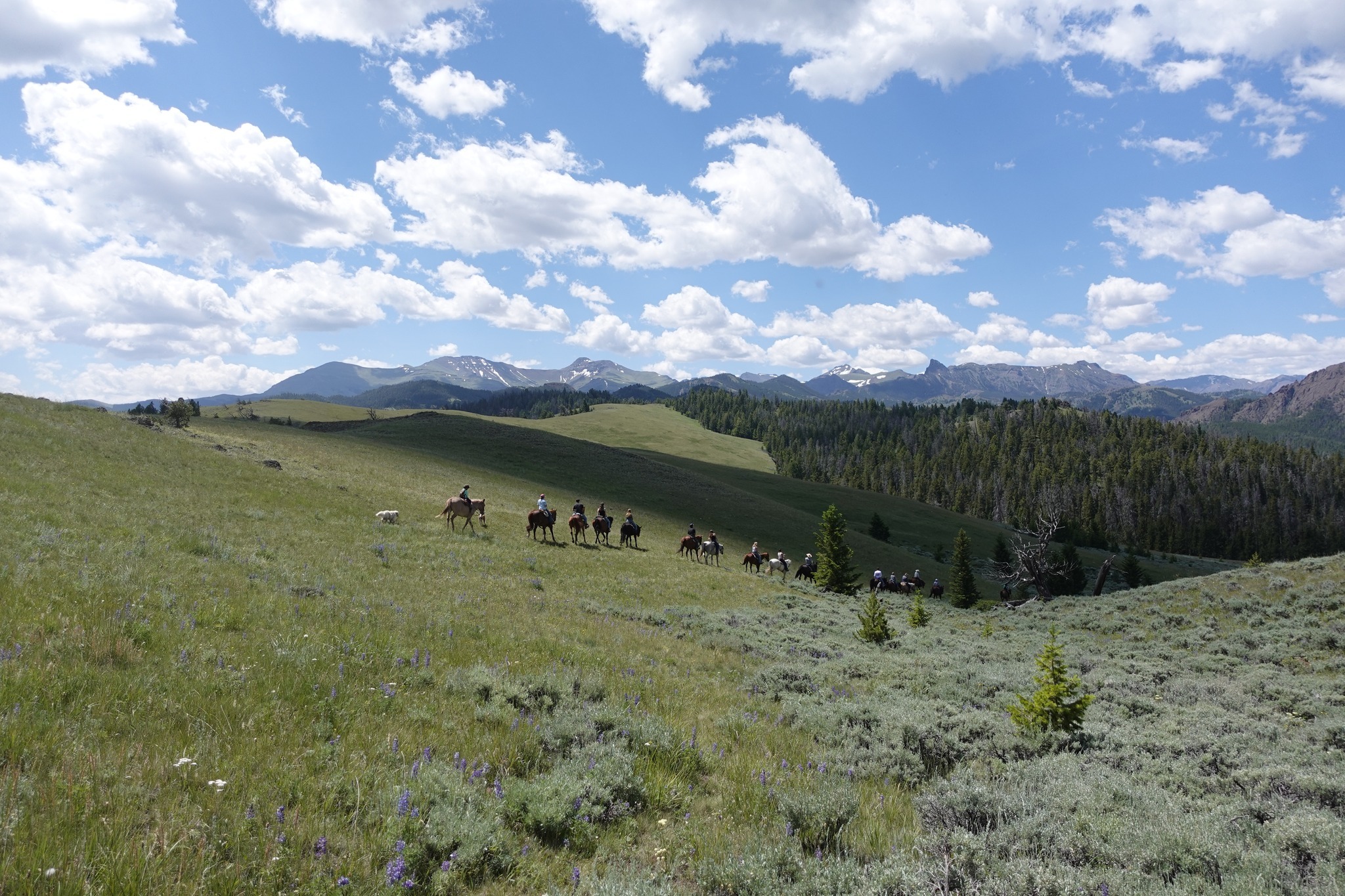 Elk Creek Ranch photo 1