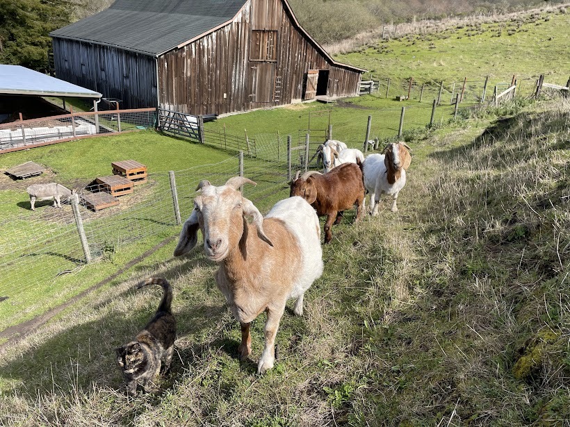 Elkus Youth Ranch