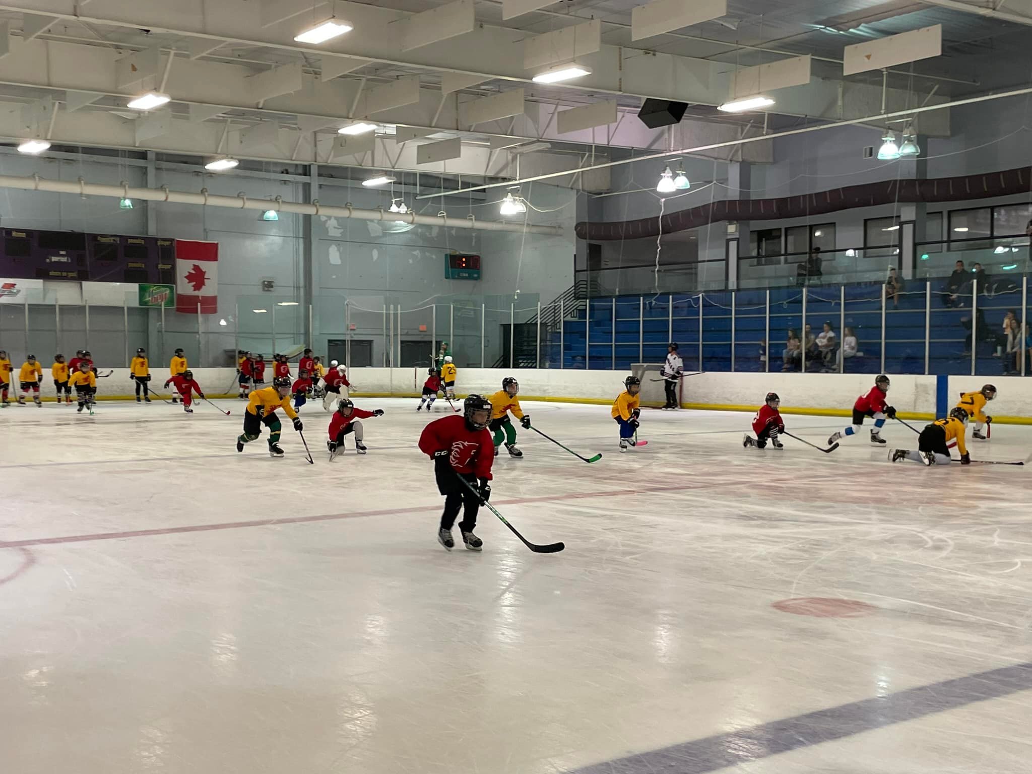 Ellenton Sports Beginner Hockey Camp фото 1
