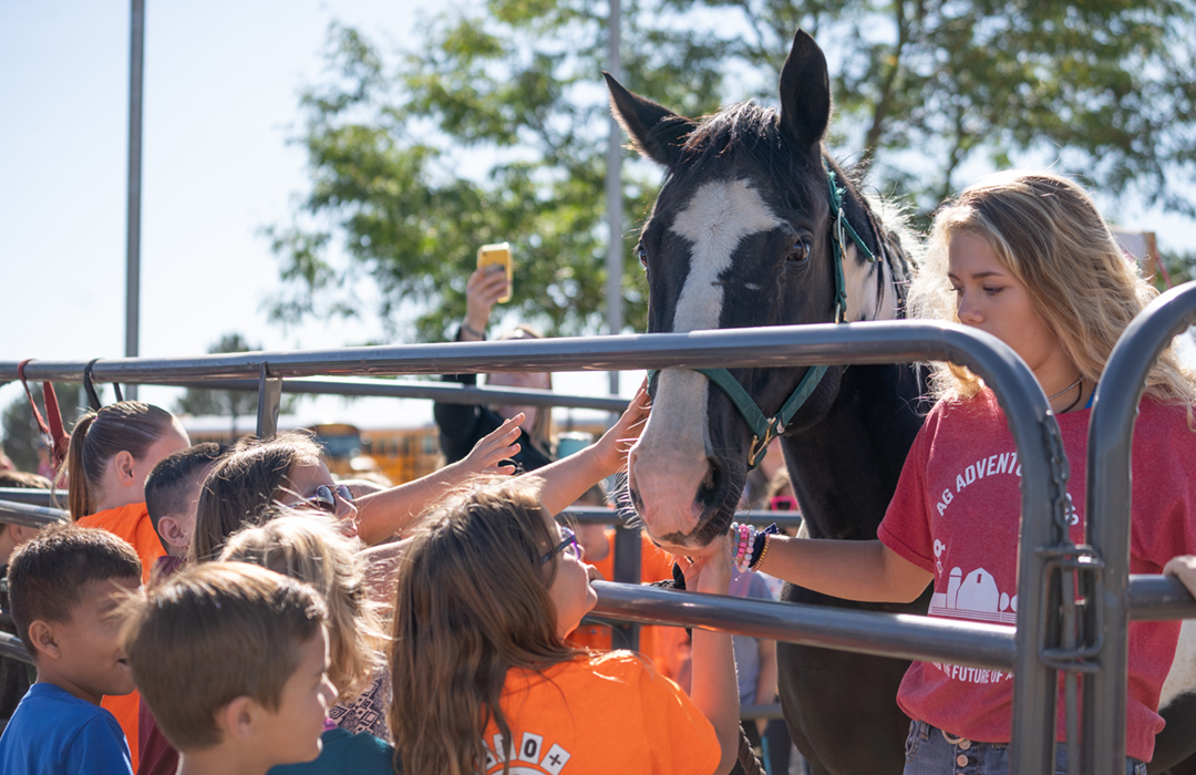 Equine Sciences Horsemanship Camp photo 1