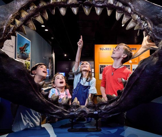 Exploration Place - Summer Camps фото 1