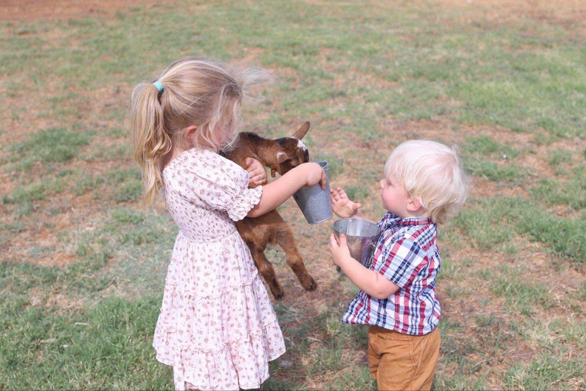 Farm Camp