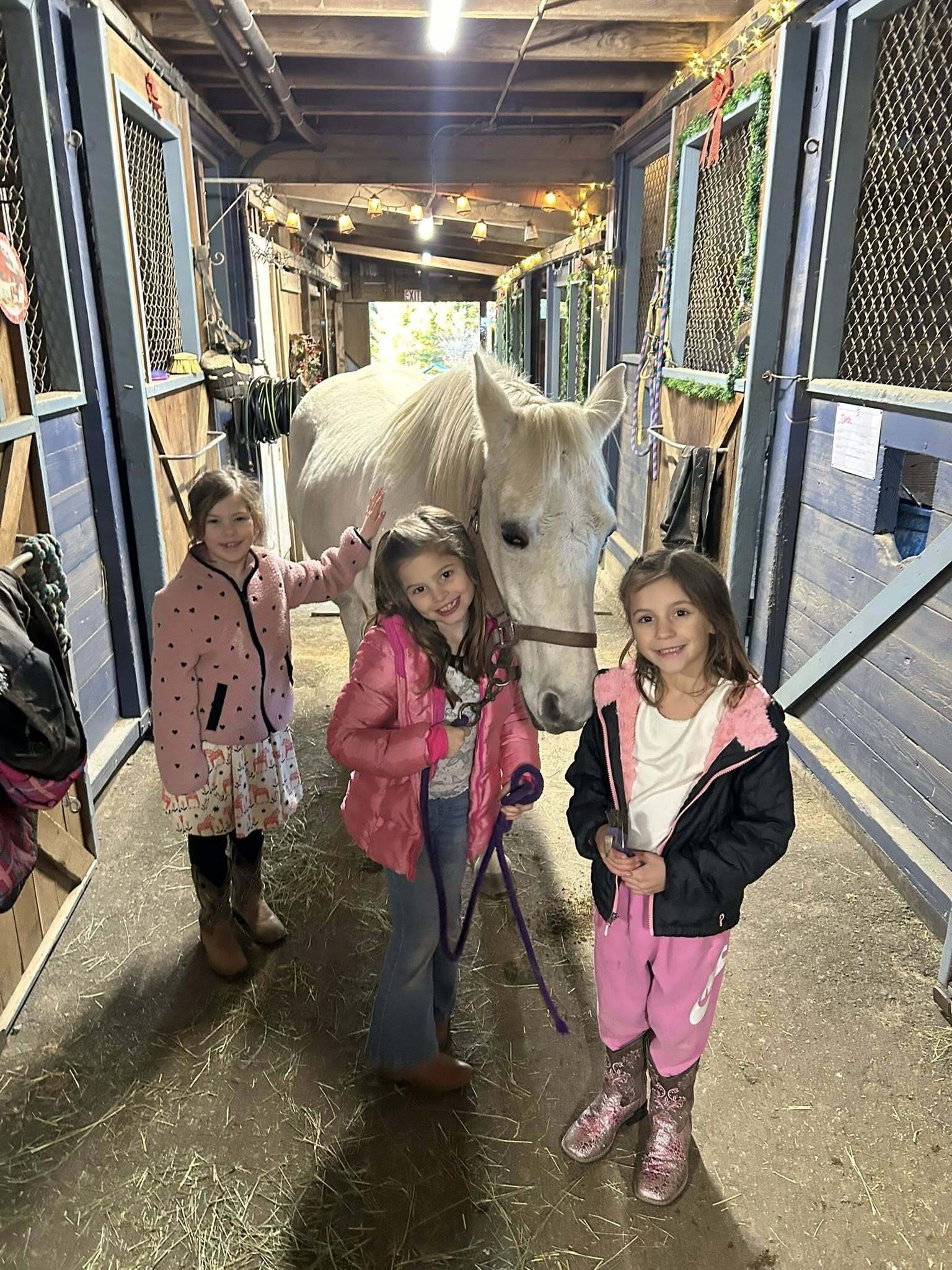 Fir Hollow Stables Summer Camp фото 1