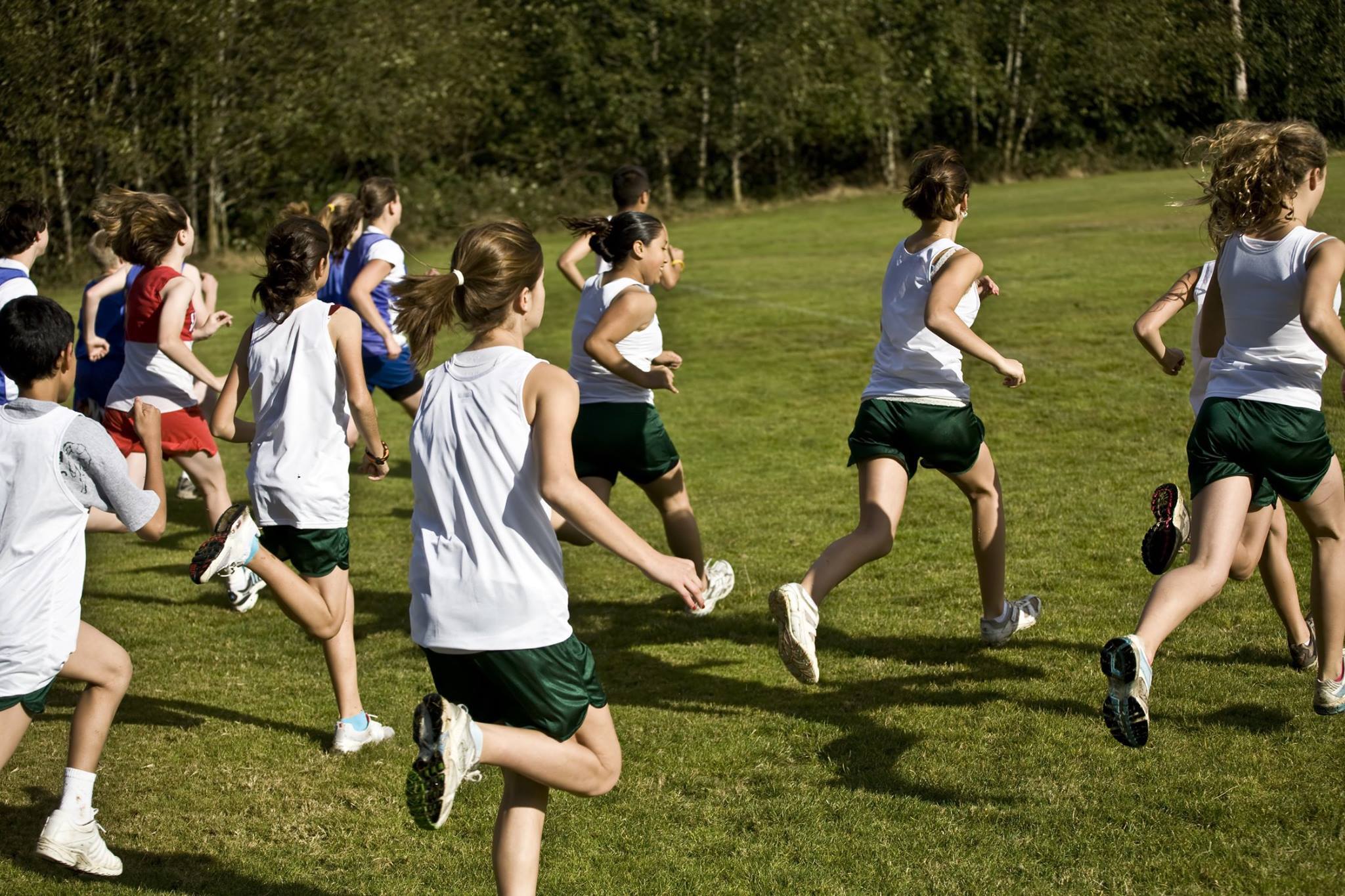 Fitwell Training Solutions