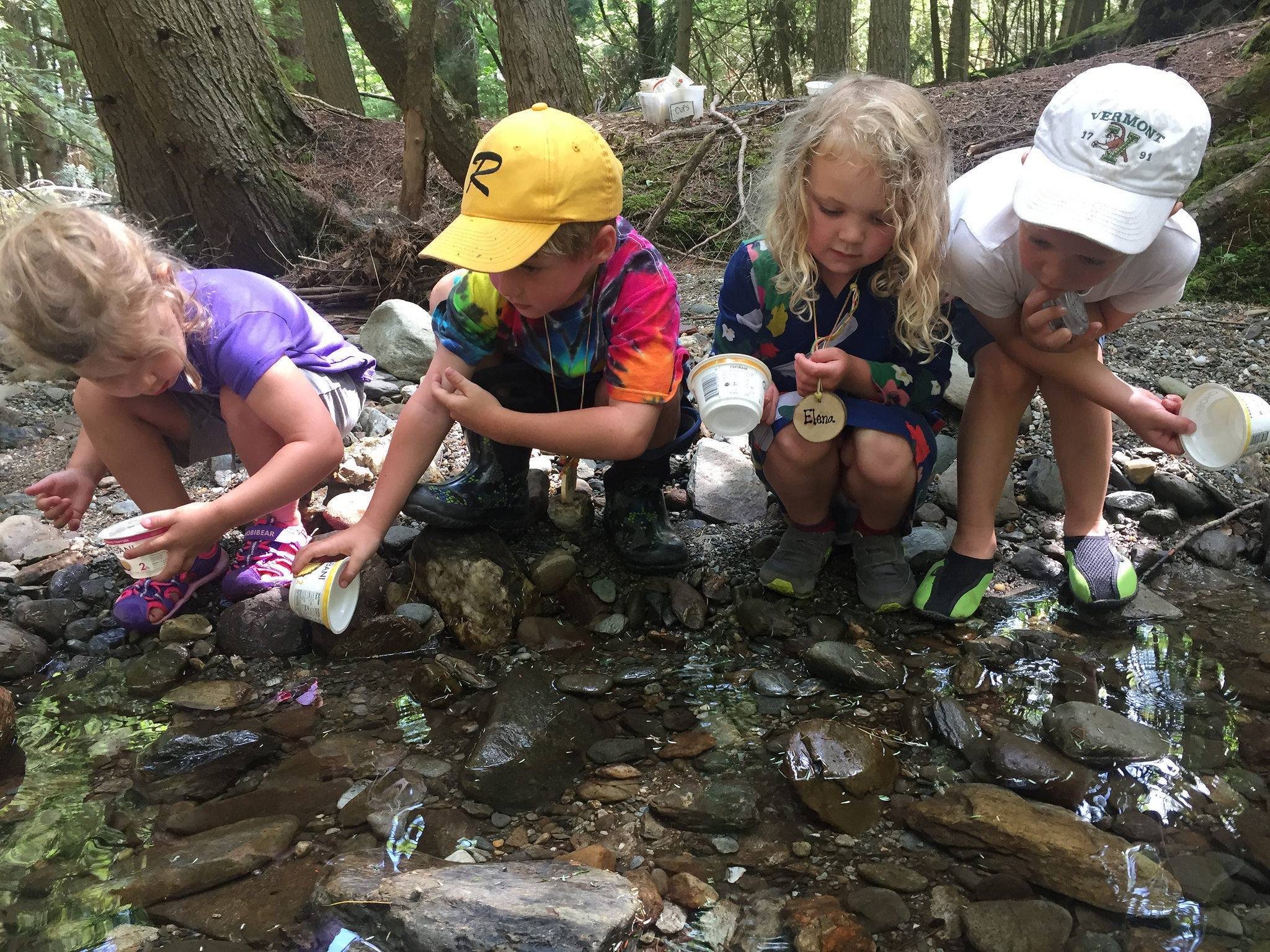 Common Ground Center Summer Camps фото 1