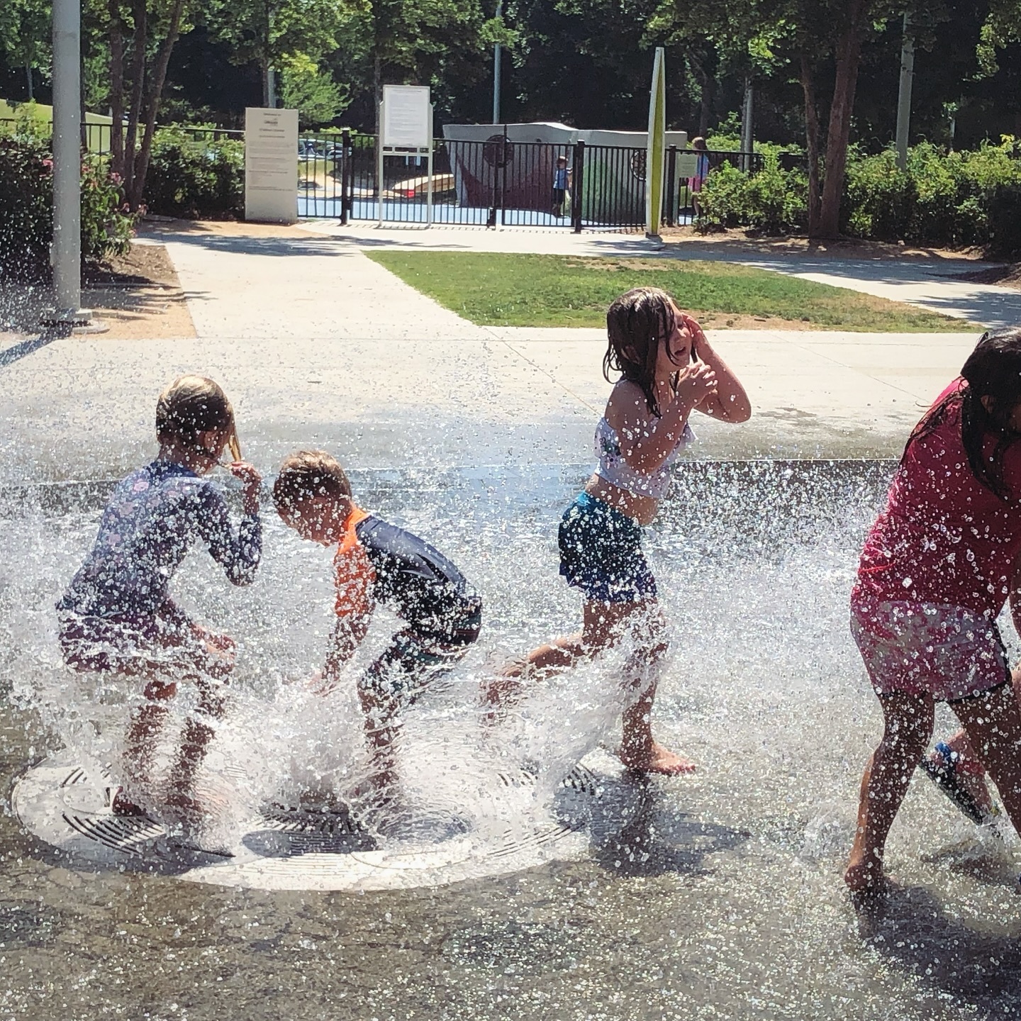 Greensboro Ballet photo 1