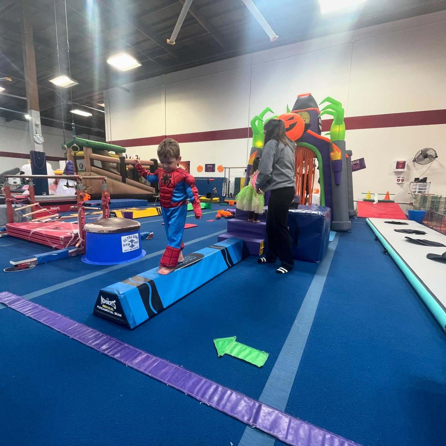 Gymtowne Super Summer Day Camp photo 1