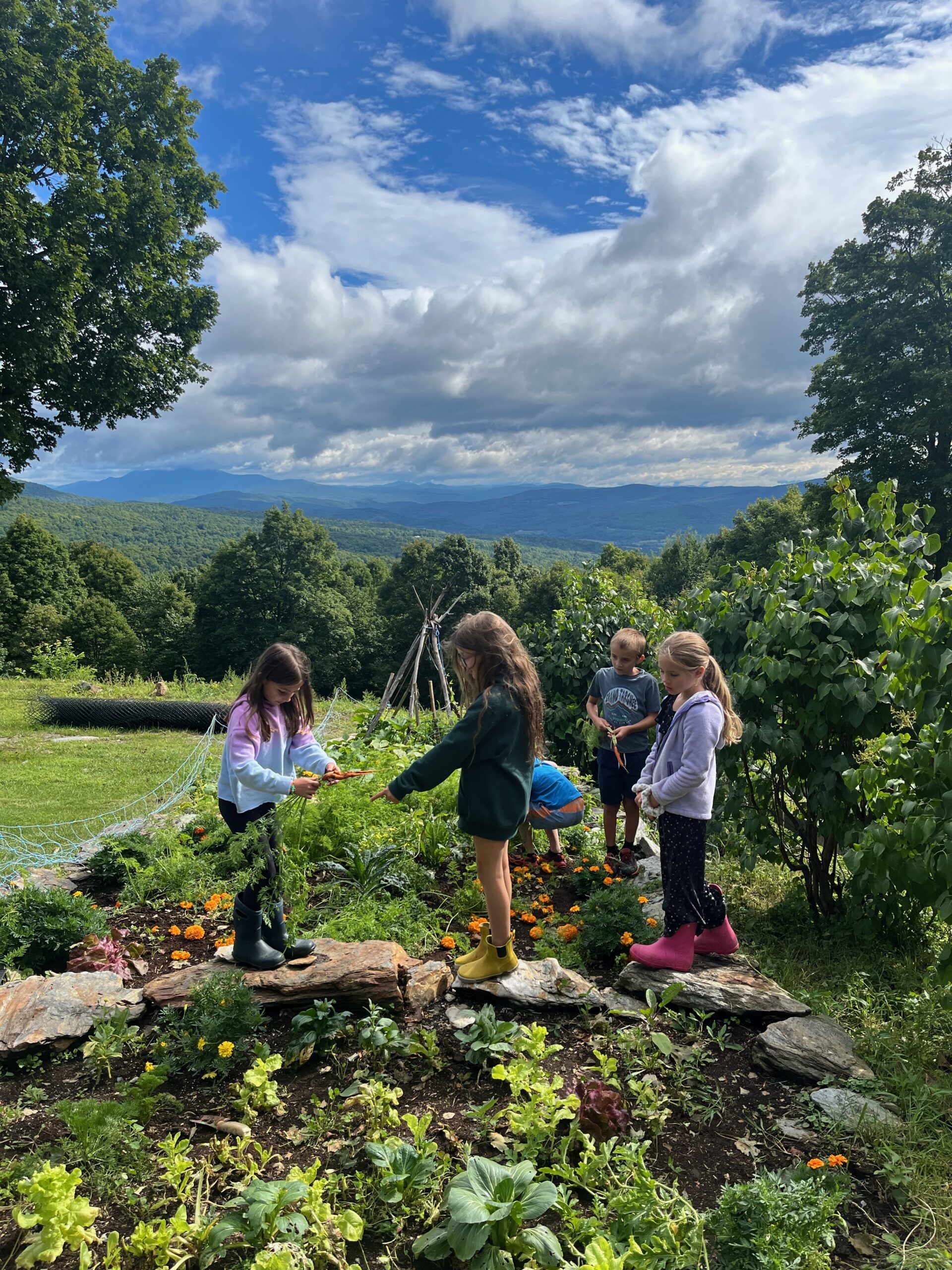 Camp Akeela фото 1