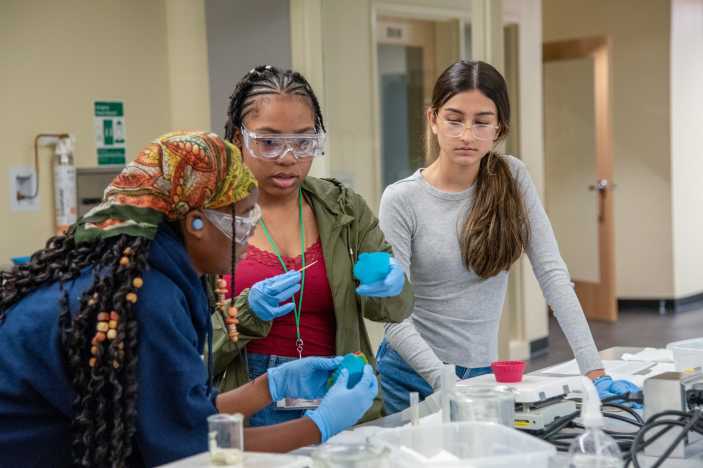 Hollinsummer Pre-College Program For Girls