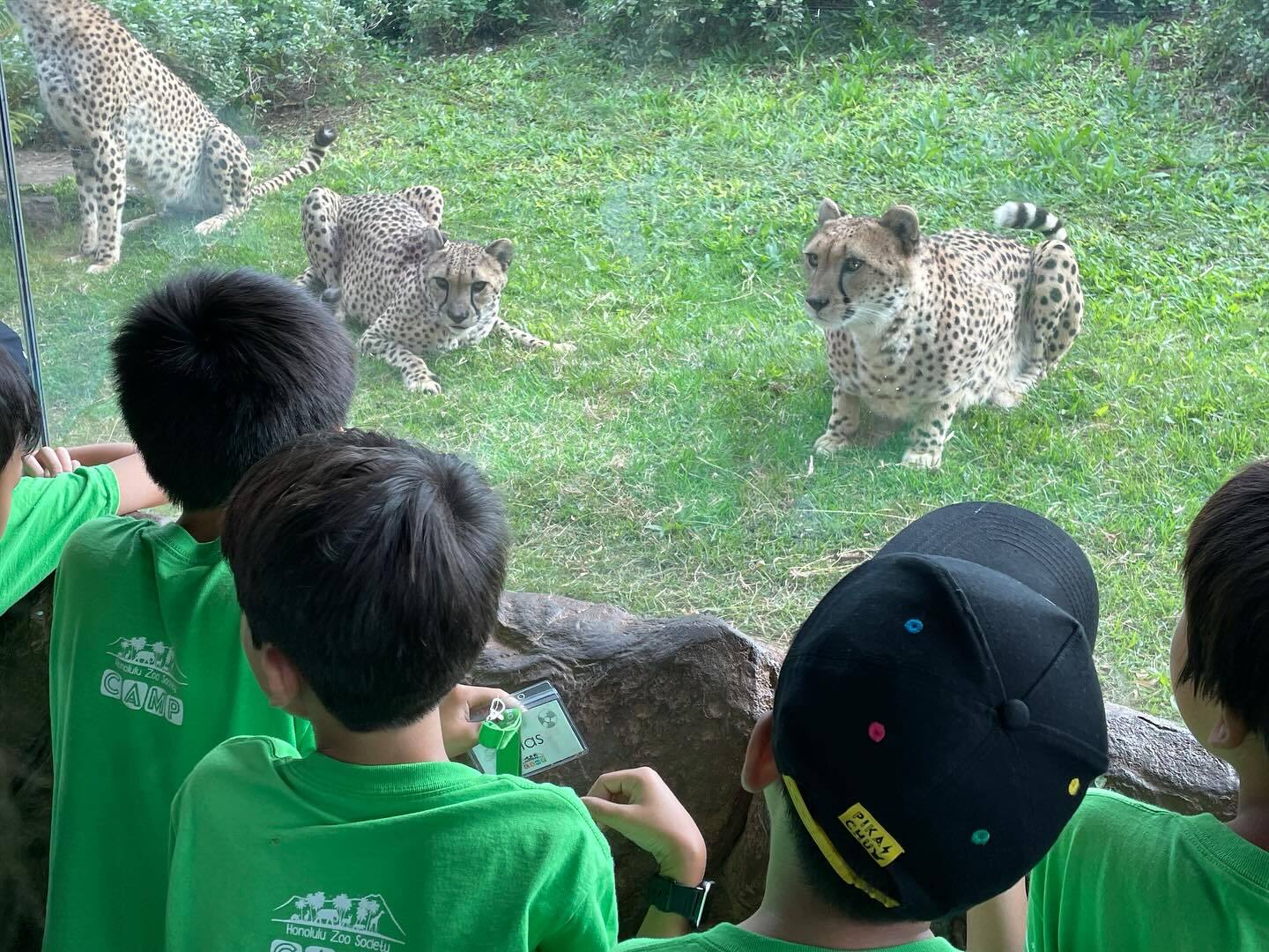 Holy Nativity School Summer Camp фото 1