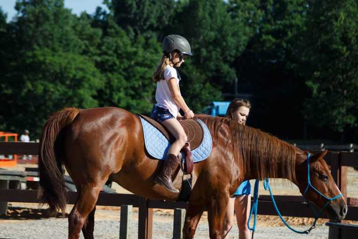 Hope Reins of Raleigh