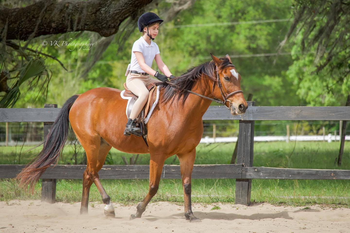 Horse Riding Camp