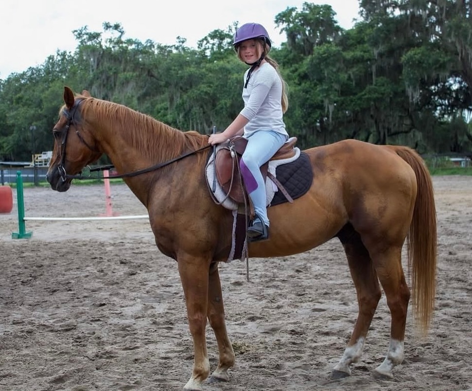 Horse Riding Camp photo 1