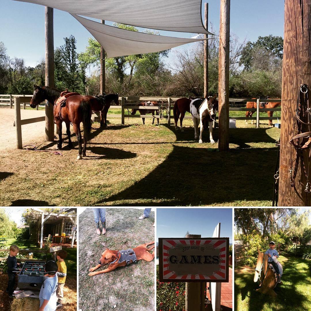 Horsemans Hangout Horsemanship Summer Day Camp фото 1