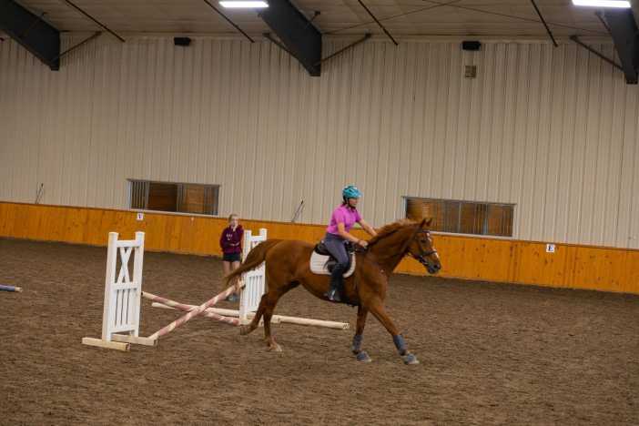 Houghton College Summer Equestrian Camp