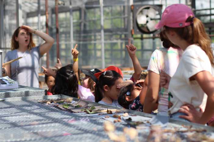 HSBC Childrens Garden