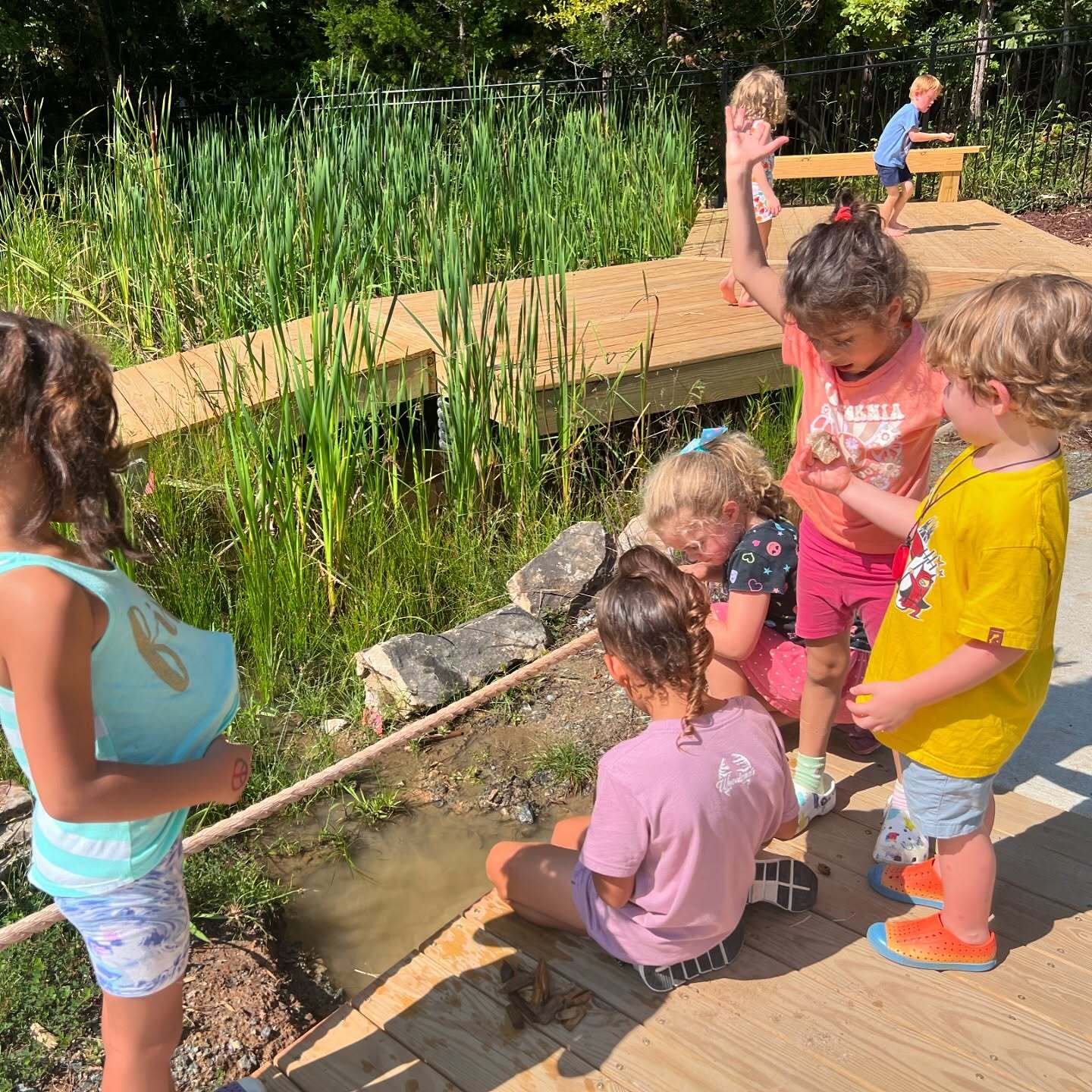 Child Prodigy Summer Camp фото 1