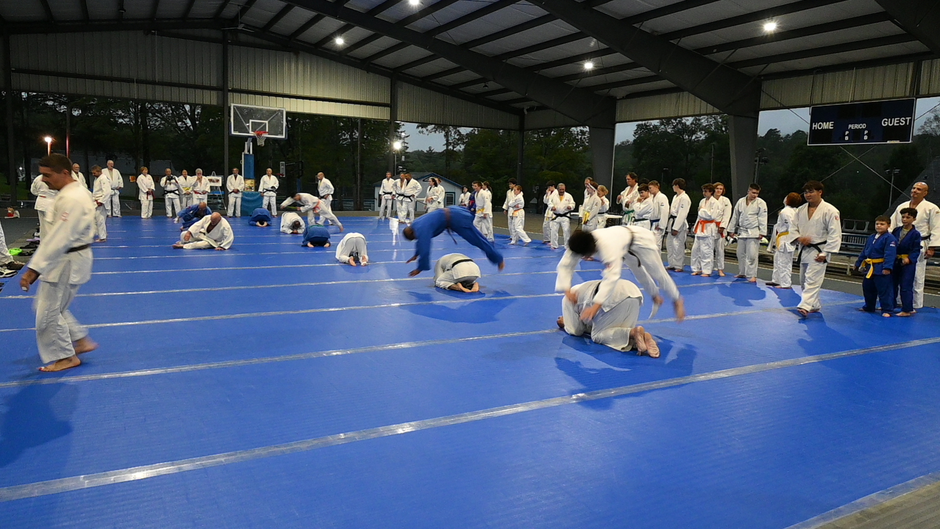 International Judo Camp