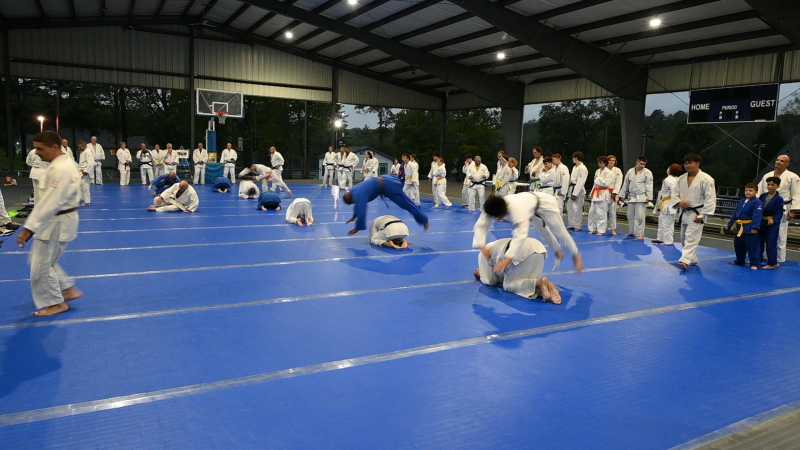 International Judo Camp