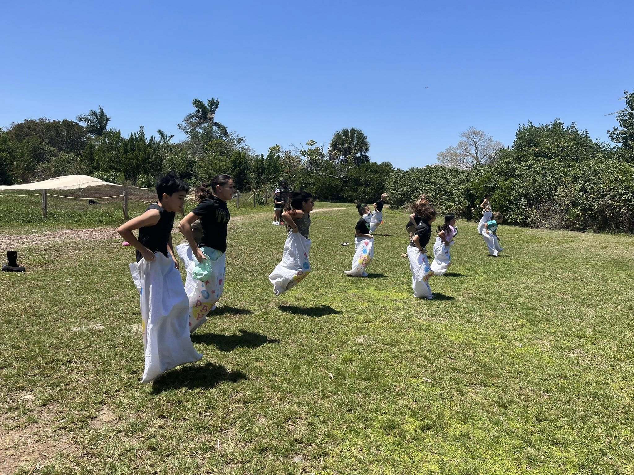 After School Karate Wesley Chapel Summer Camp фото 1