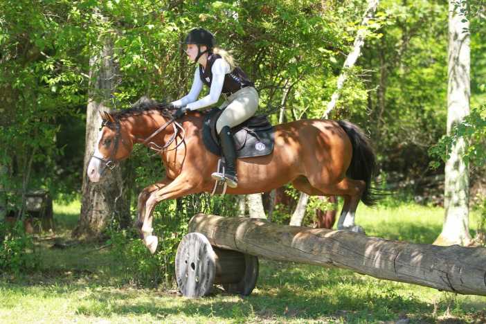 International Riding Camp