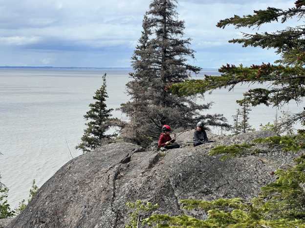 Into the Woods Alaska