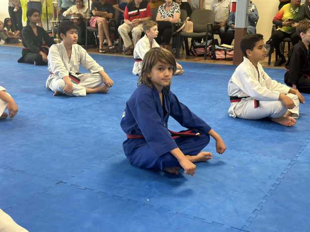 J. Tiger Taekwondo Summer Camp