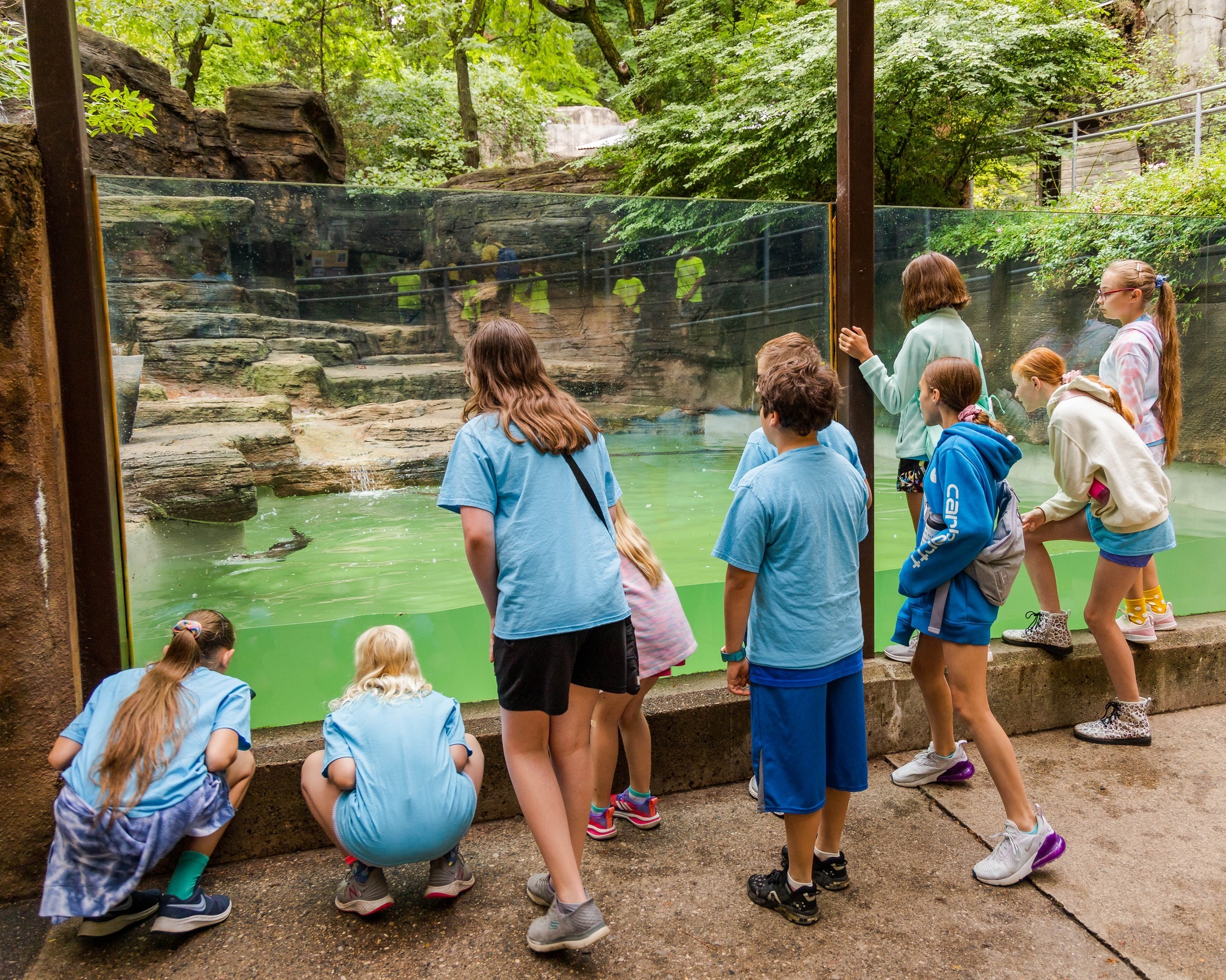 Detroit Zoo Safari Camp фото 1